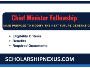 Chief Minister Fellowship