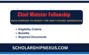 Chief Minister Fellowship