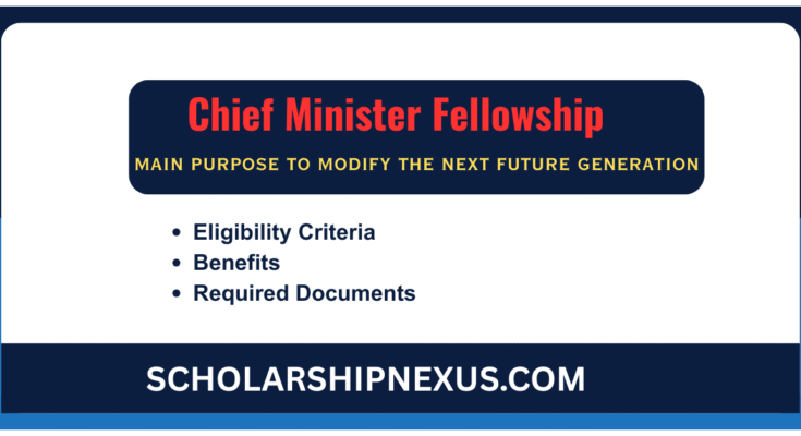 Chief Minister Fellowship