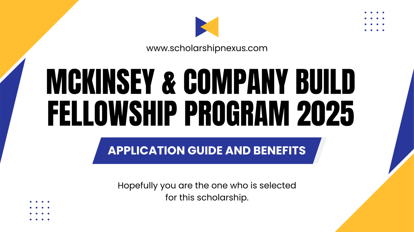 McKinsey & Company BUILD Fellowship Program