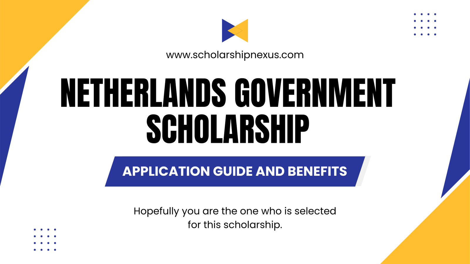 Netherlands Government Scholarship