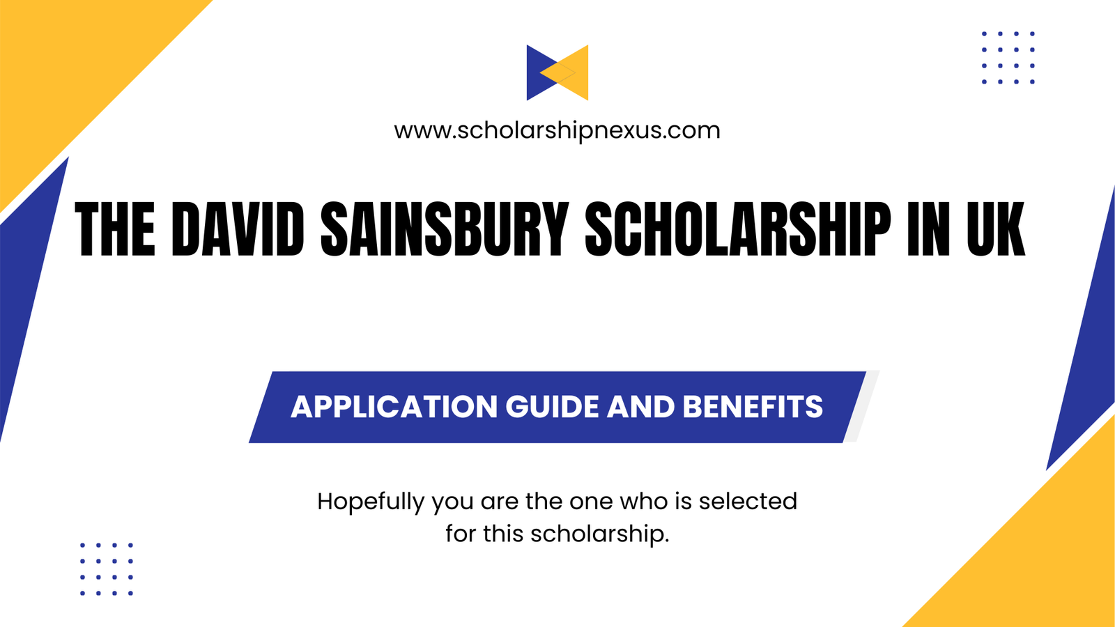 The David Sainsbury Scholarship in UK