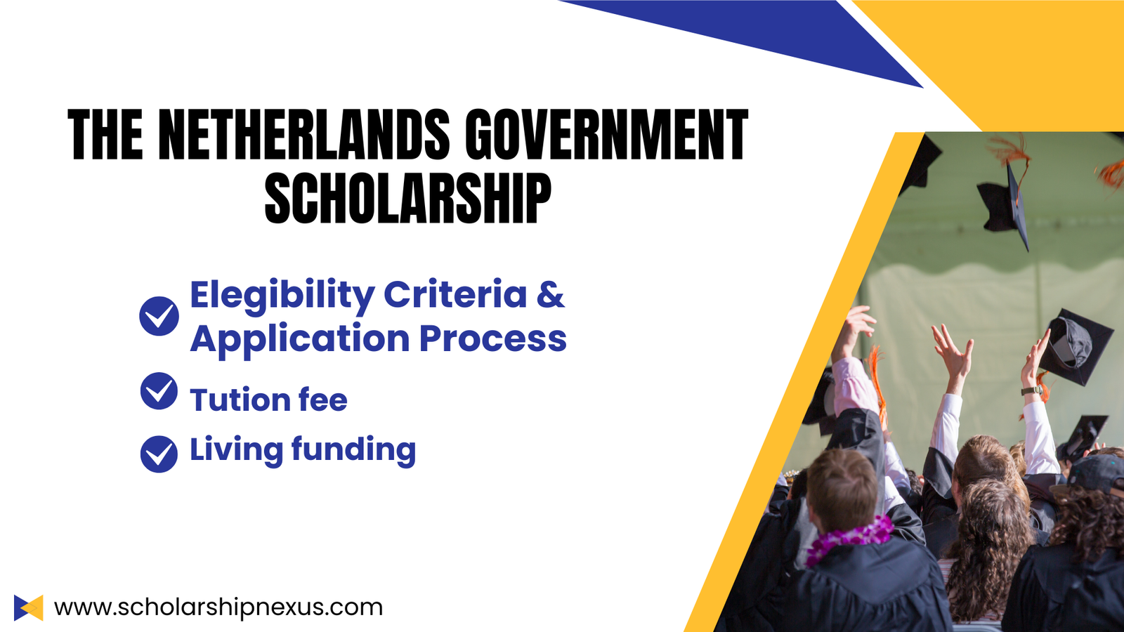 The Netherlands Government Scholarship